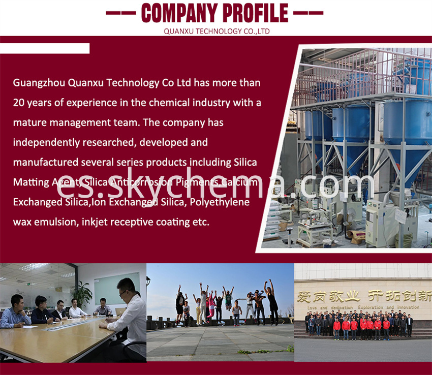 Company Profile Jpg